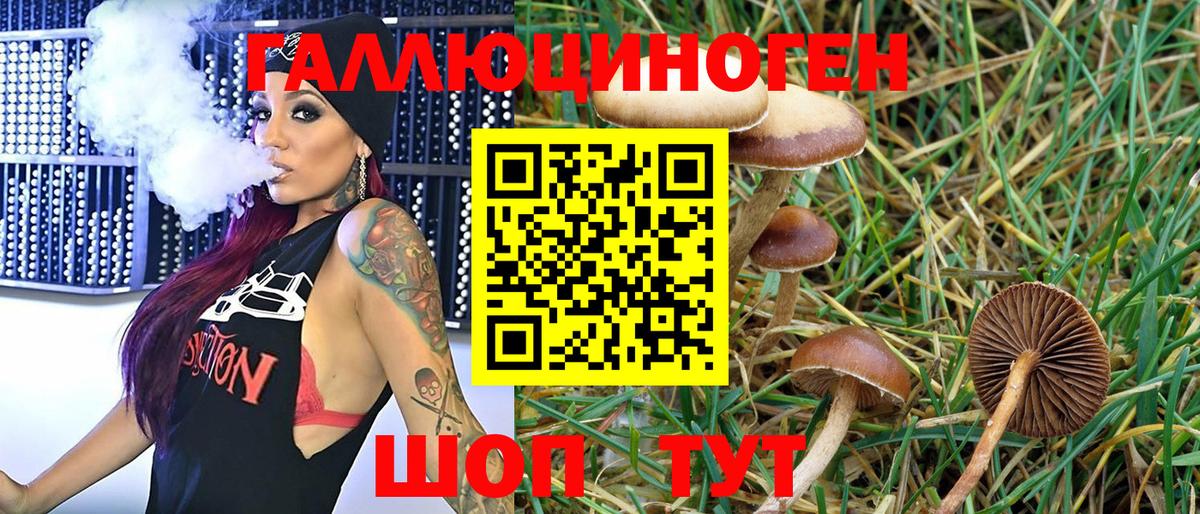 Галлюциногенные грибы MAGIC MUSHROOMS  Вход с VPN  Ярцево 