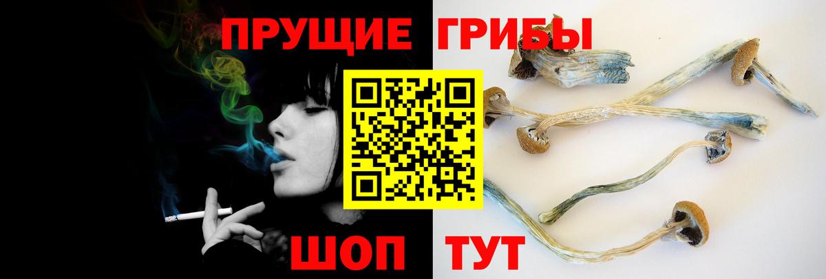 Псилоцибиновые грибы ЛСД Ярцево